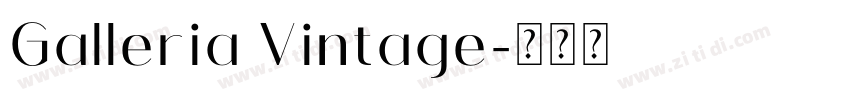Galleria Vintage字体转换